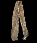 Scarf Brown Snake