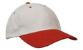 Headwear Brushed Heavy Cotton (packs of 10) - 4199